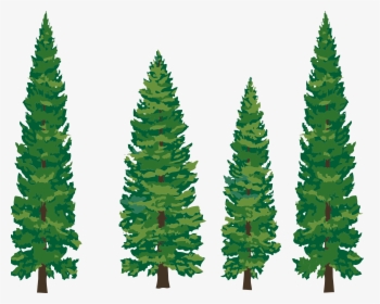 Vector Images Of Trees Hd Image Clipart - Pine Trees Clipart Png, Transparent Png, Free Download