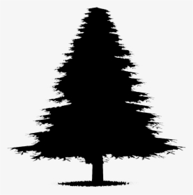 Transparent Pine Tree Silhouette Png - Christmas Tree, Png Download, Free Download