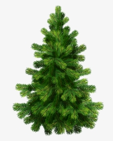 Christmas Tree Free Png Image - Christmas Tree Vector Png, Transparent Png, Free Download