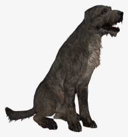 Dog Png Hd - Irish Wolfhound Dog Png, Transparent Png, Free Download