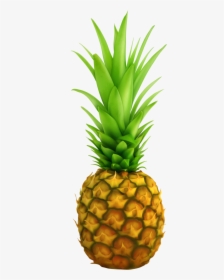 Pineapple Top, HD Png Download, Free Download