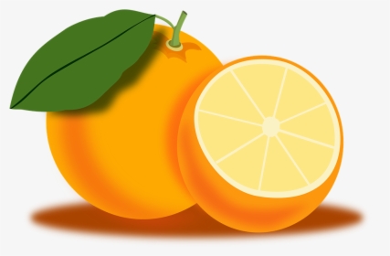 Naranja, Fruta, Alimentos, Nutrición, Vegetariano - Desenho Frutas Nutrição Png, Transparent Png, Free Download