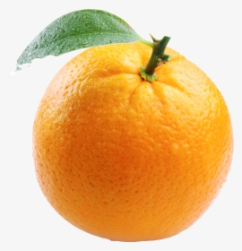 Mandarin Orange Png Transparent Image - Orange With White Background, Png Download, Free Download