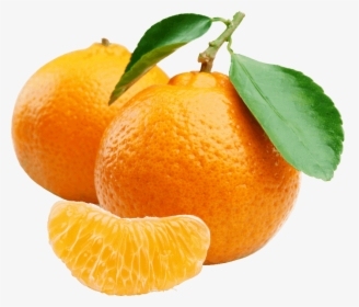 Mobirise - Mandarin Orange, HD Png Download, Free Download