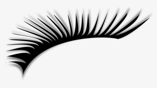 Eyelash, Beauty, Cosmetic, Eye, Fashion, Glamour - Eyelash Cliparts, HD Png Download, Free Download