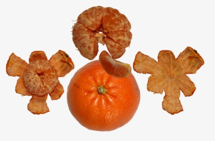 Fruit, Tangerine, Orange, Food, Vitamin C, Juicy - Mandarin Orange, HD Png Download, Free Download