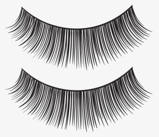 Eyelash Strips Png Transparent Clip Art Image, Png Download, Free Download