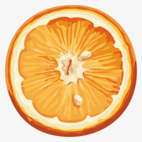 Mandarin Food,clip Art,valencia Orange,pomelo - Апельсин Рисунок На Прозрачном Фоне, HD Png Download, Free Download
