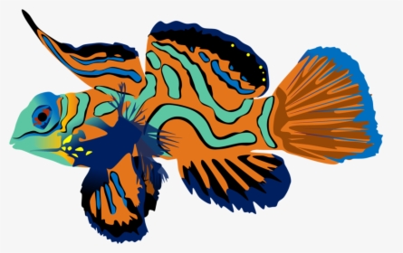 Mandarin Fish Png Clipart Mandarinfish Bony Fishes - Mandarin Fish Png, Transparent Png, Free Download