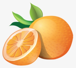 Orange Vector Mandarin - Clipart Fruit Orange Png, Transparent Png, Free Download