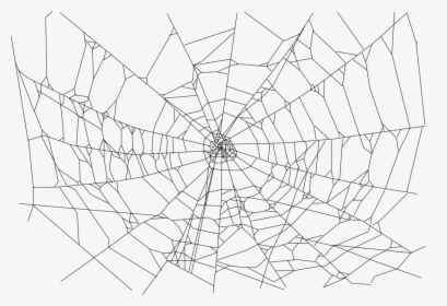 Download Spider Web Png File 368 - Spider Web Transparent Background, Png Download, Free Download
