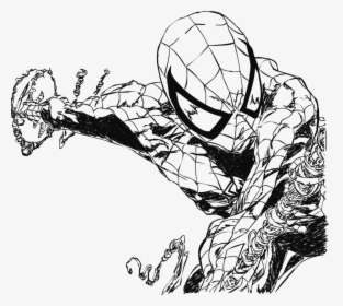 Hd By Electric Meat - Spiderman Black And White, HD Png Download, Free Download