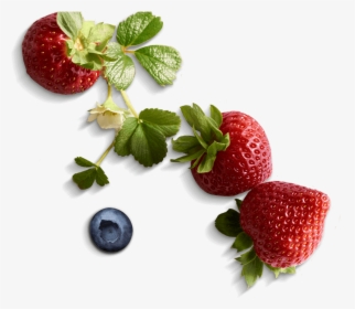 Fair Trade Driscoll's Berries, HD Png Download, Free Download