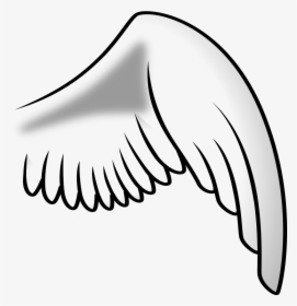 Wing Angel Right Free Picture - Bird Wing Clip Art, HD Png Download, Free Download