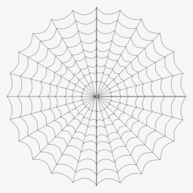 Cob Web Spiderweb Spider"s Web Free Picture - Transparent Spider Man Web Png, Png Download, Free Download