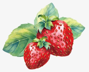 Watercolor Strawberry Png, Transparent Png - Kindpng