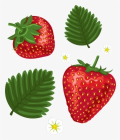 Strawberry Leaves Clip Art, HD Png Download, Free Download