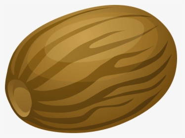 Nutmeg, Nut, Shell, Brown, Food, Snack, Healthy - Nutmeg Vector Png, Transparent Png, Free Download
