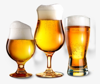 Beer Glass Hd, HD Png Download, Free Download