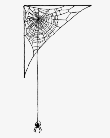 Index Of Images Thumb 2 22 Spider Web Png Birthday - Spider Web Drawing Corner, Transparent Png, Free Download