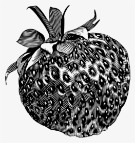 Strawberry 2 Clip Arts - Drawings Of Shaded Fruit, HD Png Download, Free Download