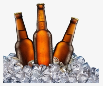 Beer Bottles On Ice Png - Cold Beer Bottle Png, Transparent Png, Free Download