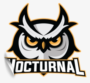 Nocturnal Gg, HD Png Download, Free Download