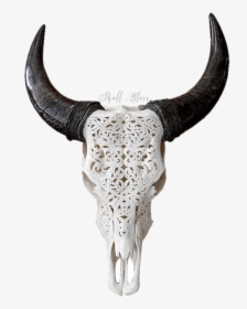 Skull Variant Skull Only - Buffalo Long Horn Skull, HD Png Download, Free Download