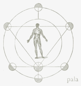 Pala Band Logo - Sketch, HD Png Download, Free Download