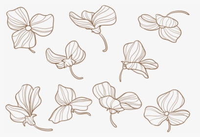 Flores Desenhadas À Mão De Ervilhas, HD Png Download, Free Download