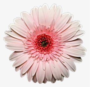 Thumb Image, HD Png Download, Free Download