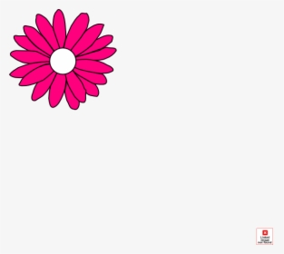 Pink Daisy Png, Transparent Png, Free Download