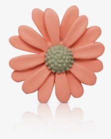 Pink Daisy Png, Transparent Png, Free Download