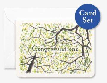 Congratulations Gleditsia Mini Card Set Of, HD Png Download, Free Download