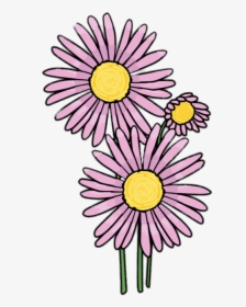Pink Aster Clipart, HD Png Download, Free Download