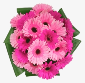 Pink Gerbera Bouquet, HD Png Download, Free Download
