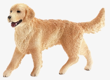 Golden Retriever Puppy Png, Transparent Png, Free Download