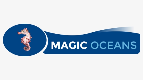 Magic Oceans Dive Resort In Anda Has A Special Offer, HD Png Download, Free Download