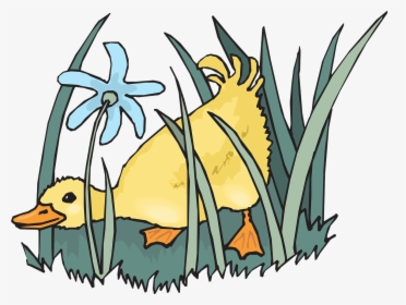 Duckling Png, Transparent Png, Free Download
