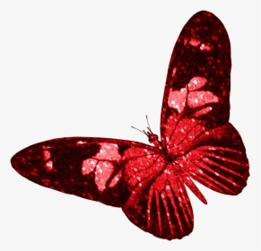 Butterfly Insect Red, HD Png Download, Free Download