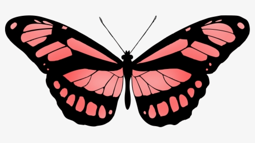 Butterfly 15 Clip Arts, HD Png Download, Free Download