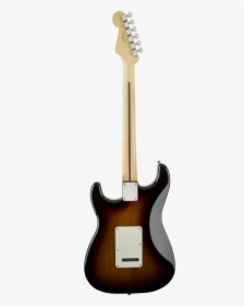 Fender Standard Stratocaster Brown Back, HD Png Download, Free Download