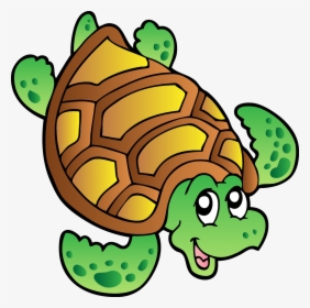 Turtle Cartoon Png, Transparent Png, Free Download