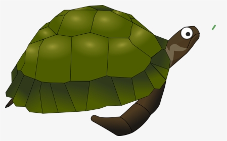 Turtle Cartoon Png, Transparent Png, Free Download