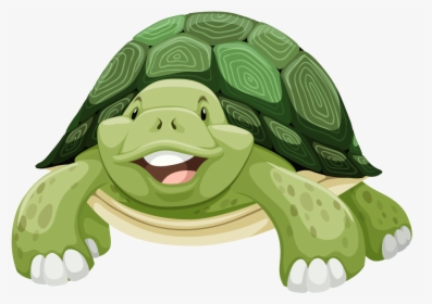Transparent Turtle Cartoon Png, Png Download, Free Download