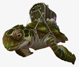 Turtle Cartoon Png, Transparent Png, Free Download