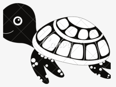Cartoon Clipart Turtle Animated Png, Transparent Png, Free Download
