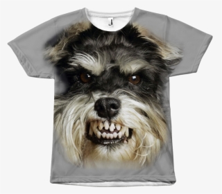 Angry Dog Png, Transparent Png, Free Download