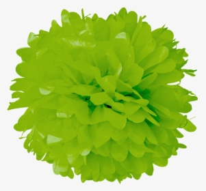 Green Apple Tissue Pom Poms, HD Png Download, Free Download
