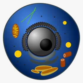 Animal Cell Png, Transparent Png, Free Download